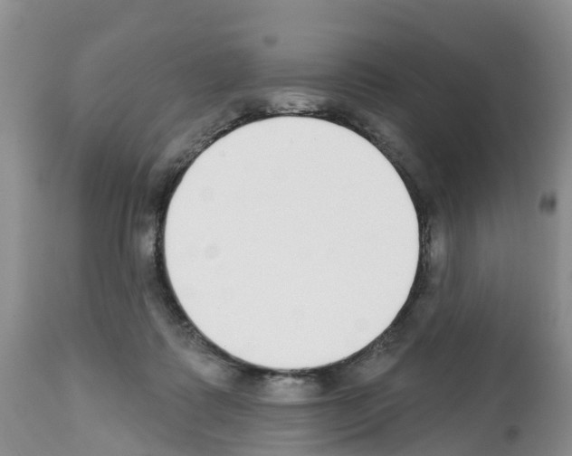 X0000112500315200909281204