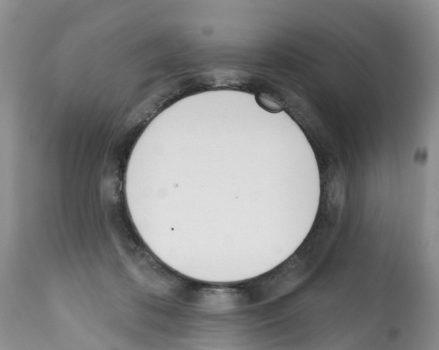 X0000112500316200909281204