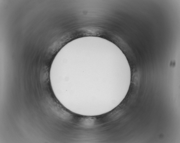 X0000112500318200909281204