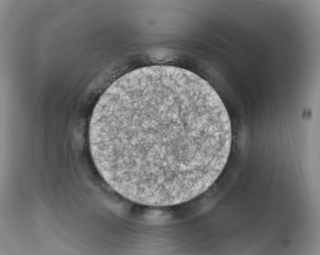 X0000112500319200909281204