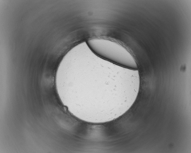 X0000112500324200909281204