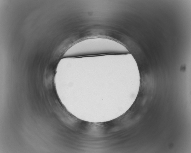 X0000112500333200909281203