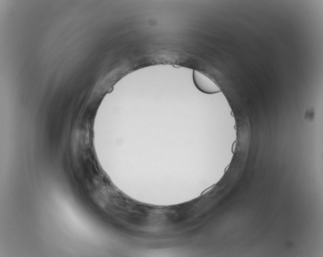 X0000112500334200909281203