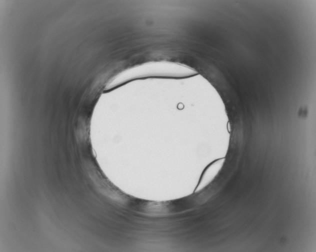 X0000112500335200909281203