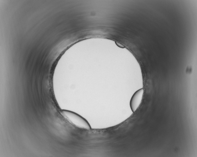 X0000112500338200909281202