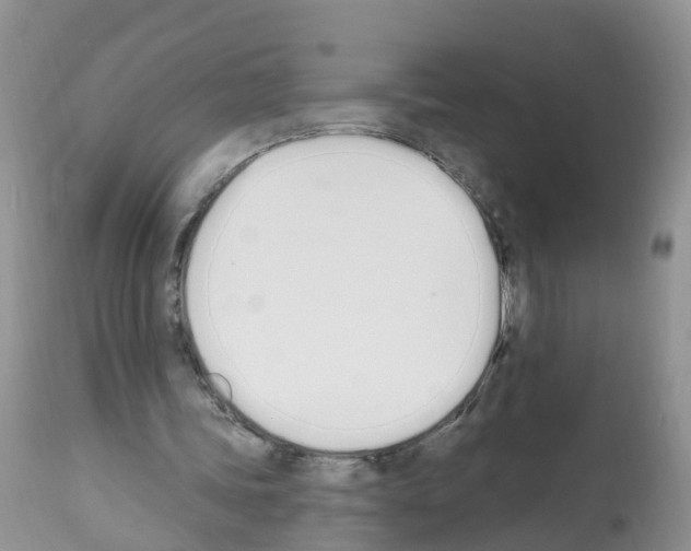 X0000112500339200909281203