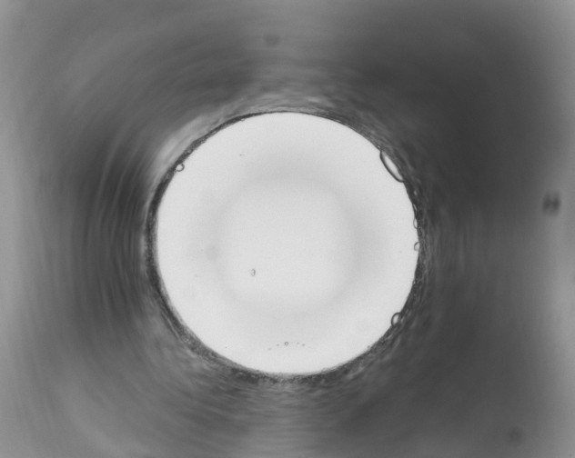 X0000112500340200909281203