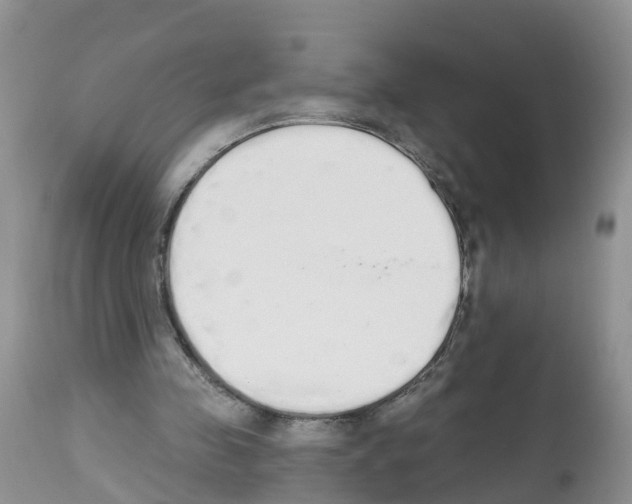 X0000112500341200909281203