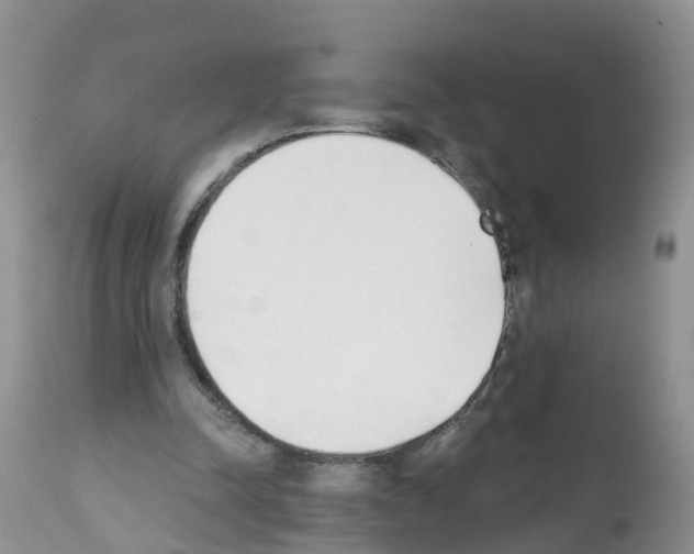 X0000112500342200909281203