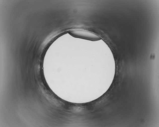 X0000112500344200909281203