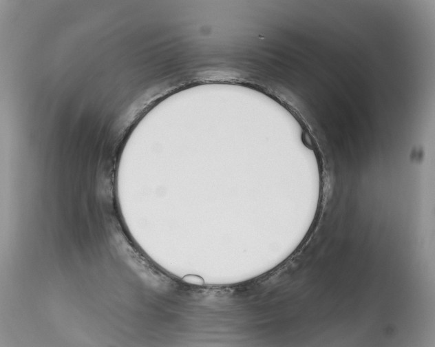 X0000112500345200909281203