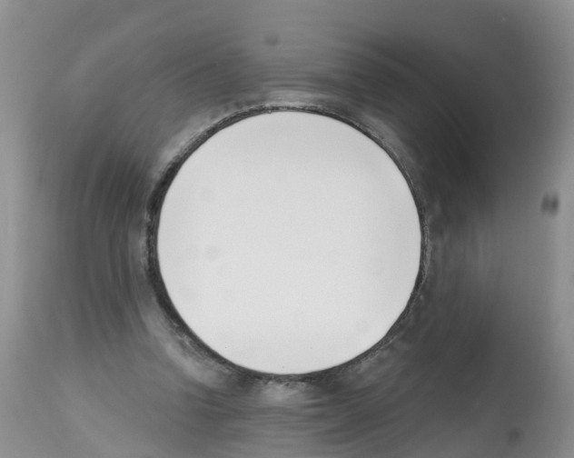 X0000112500346200909281203