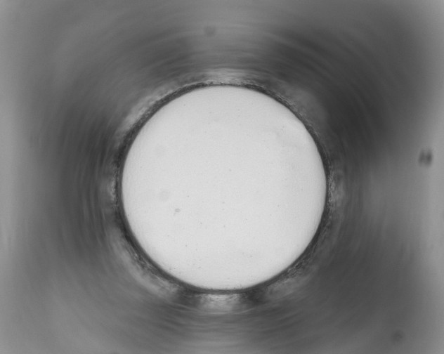 X0000112500347200909281203