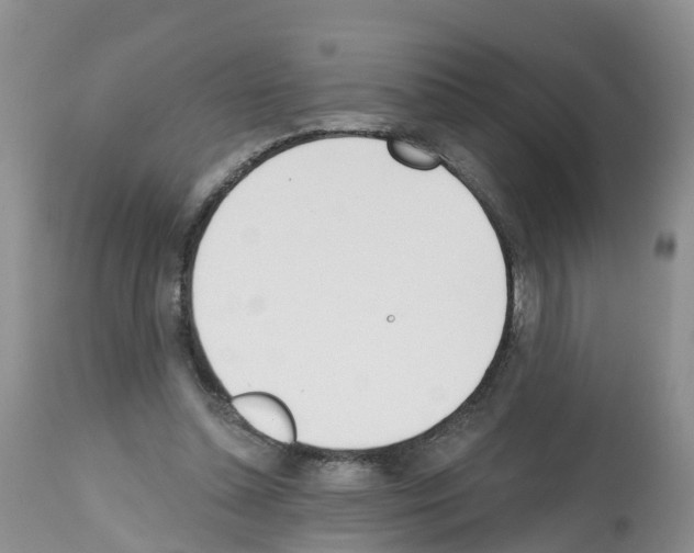 X0000112500348200909281203