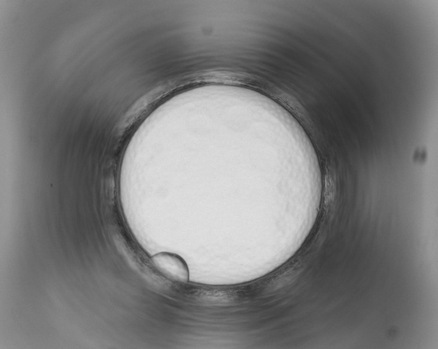 X0000112500349200909281203