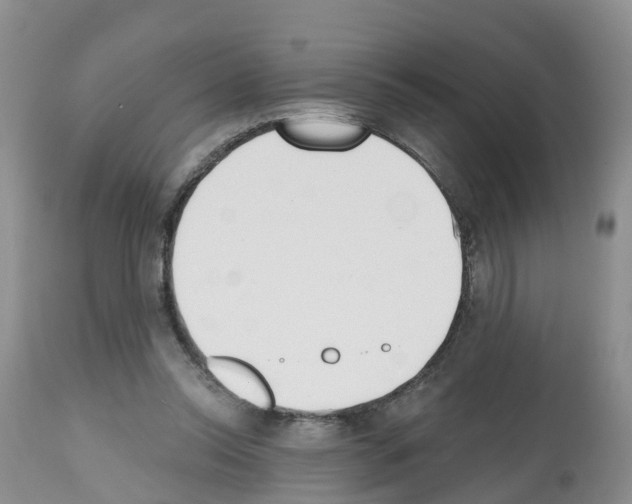 X0000112500350200909281203