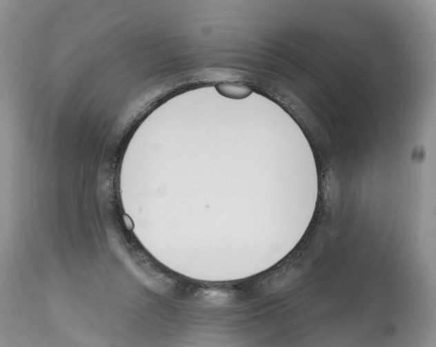 X0000112500352200909281203