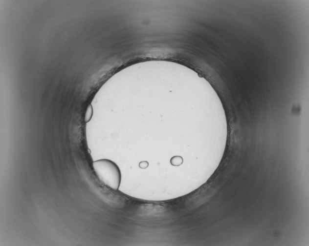 X0000112500354200909281203