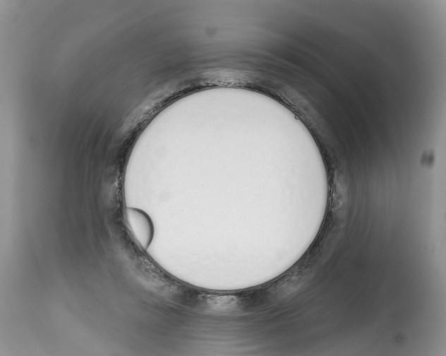 X0000112500355200909281203