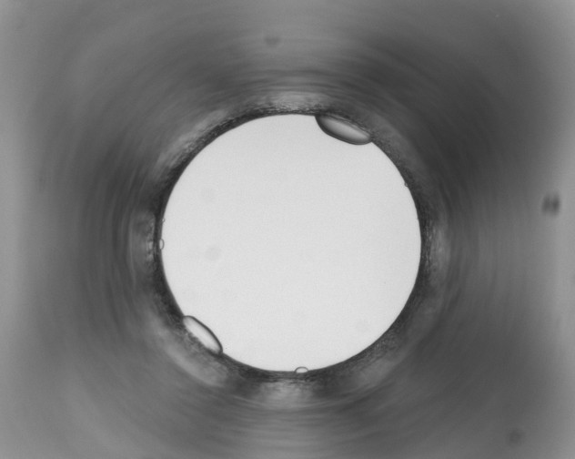 X0000112500356200909281203