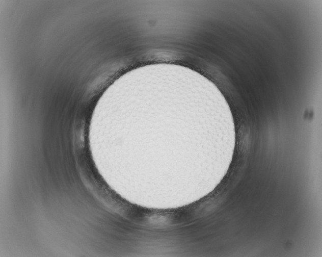 X0000112500358200909281203