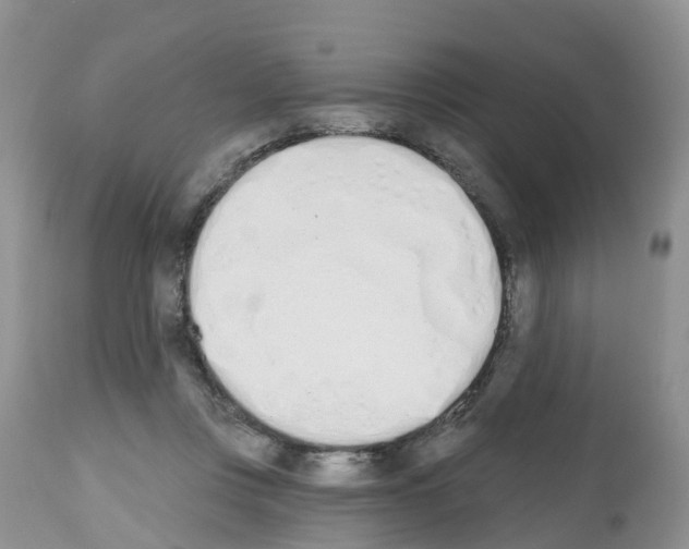 X0000112500359200909281203