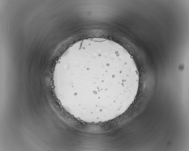 X0000112500361200909281203