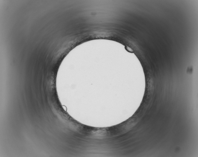 X0000112500362200909281203