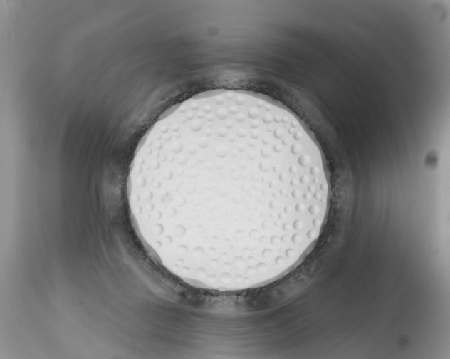 X0000112500363200909281203