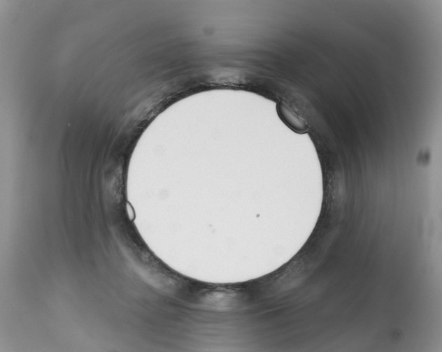 X0000112500364200909281203