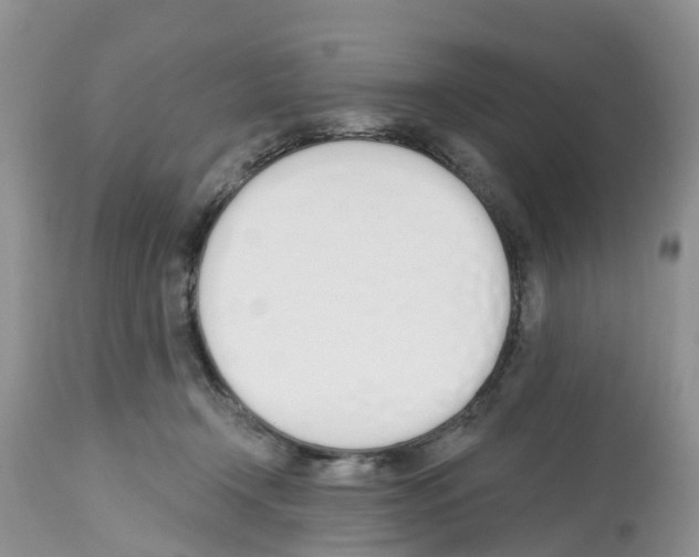 X0000112500366200909281203