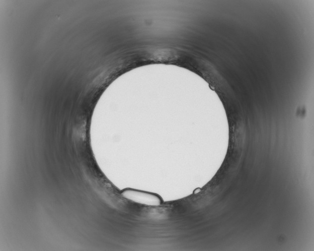 X0000112500368200909281203