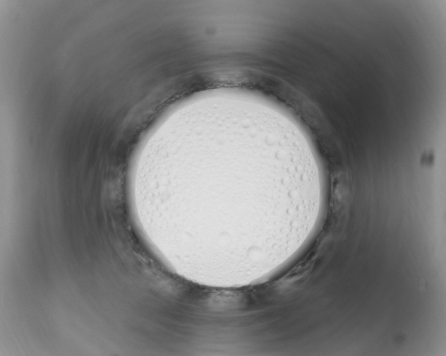 X0000112500369200909281203