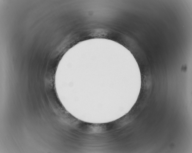 X0000112500370200909281203