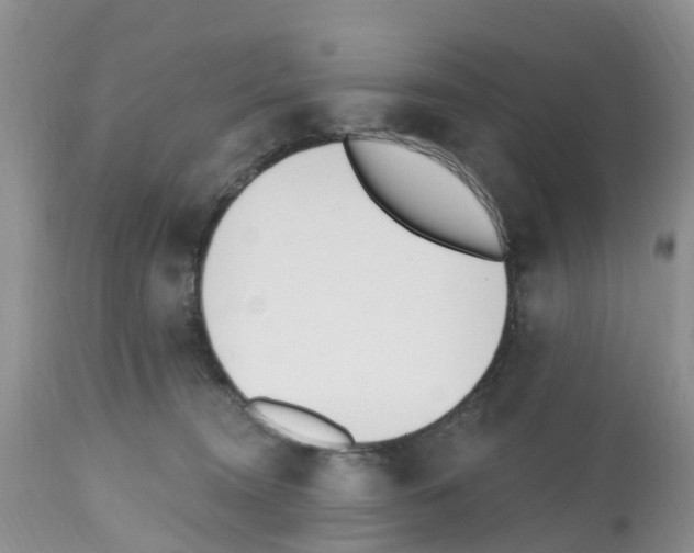 X0000112500372200909281203