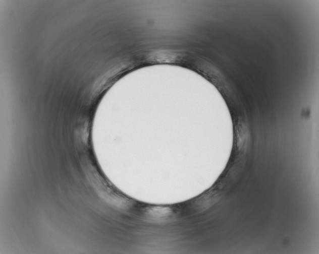 X0000112500374200909281203