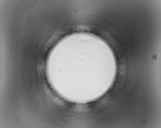 X0000112500375200909281203