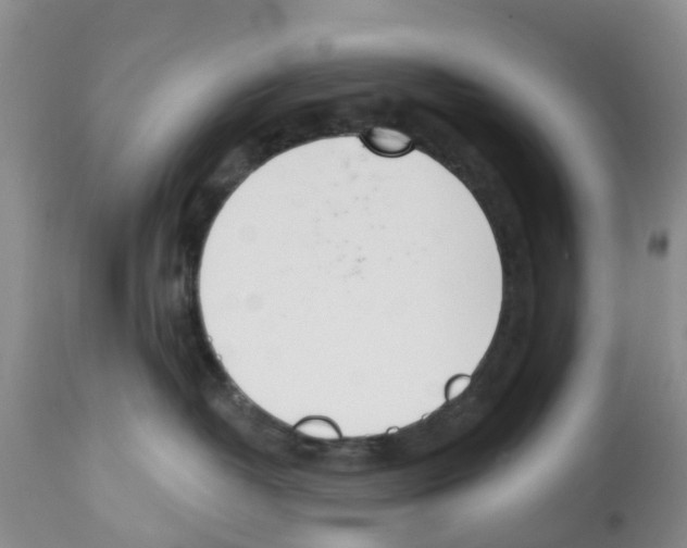 X0000112500382200909281203