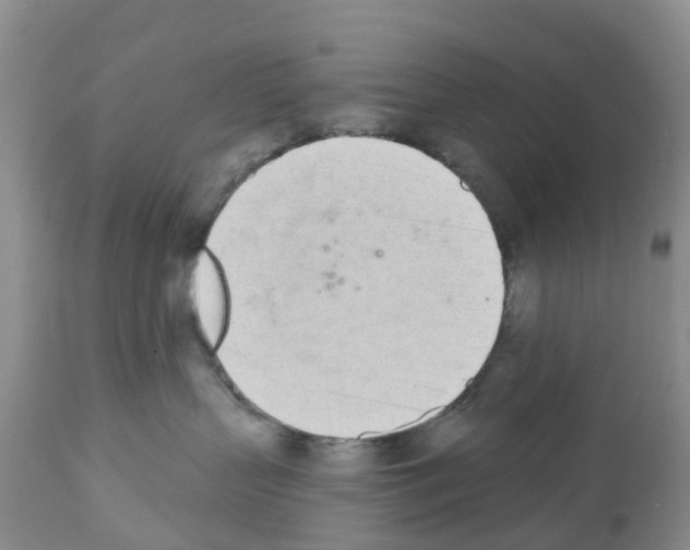 X0000112500383200909281203