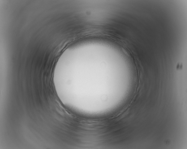 X0000112500384200909281203