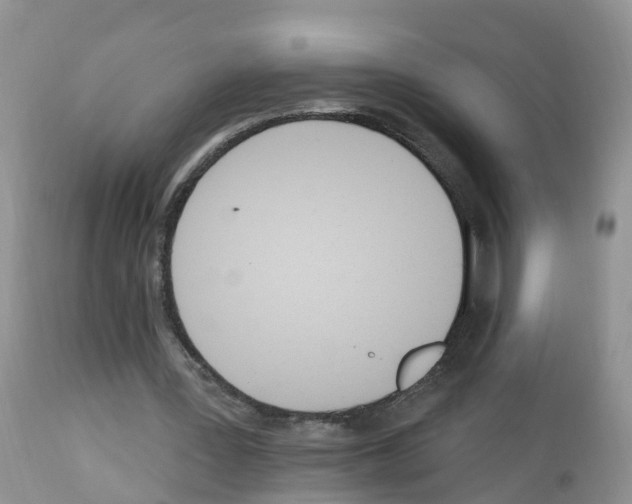 X0000112500387200909281202