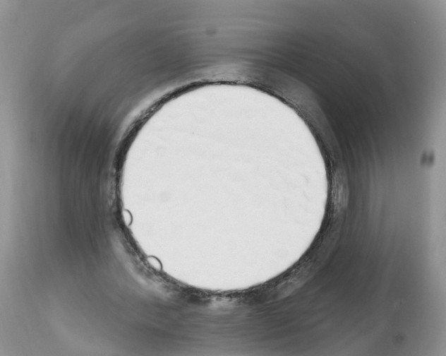 X0000112500388200909281202