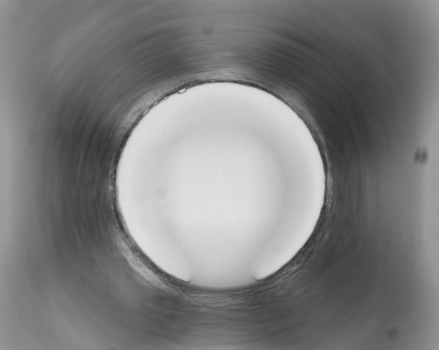 X0000112500389200909281202