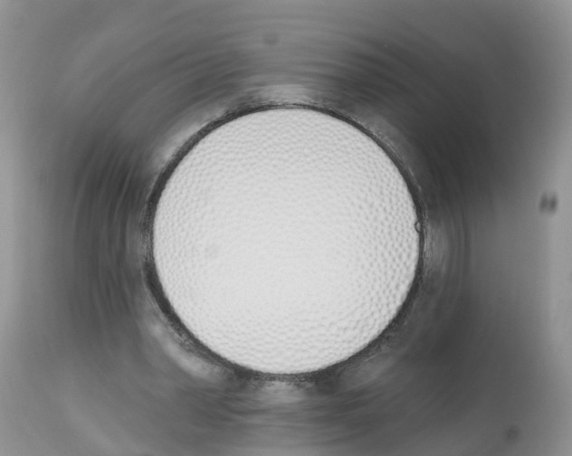 X0000112500390200909281202