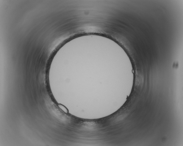 X0000112500391200909281202