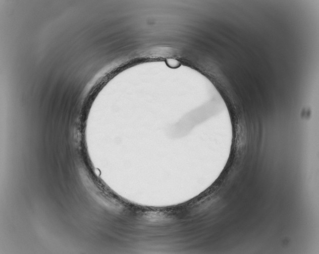 X0000112500392200909281202