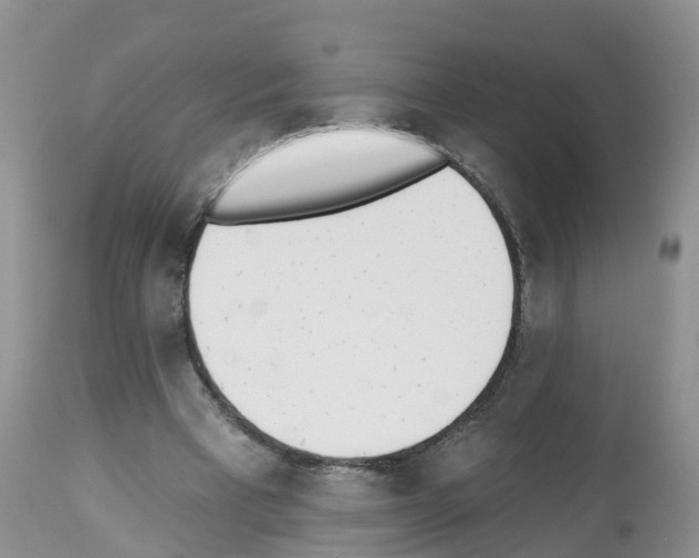 X0000112500393200909281202