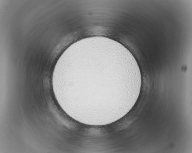 X0000112500394200909281202