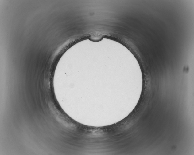 X0000112500395200909281202