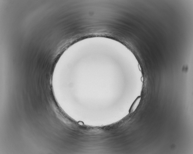 X0000112500397200909281202